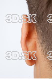 Ear texture of Rufus 0003